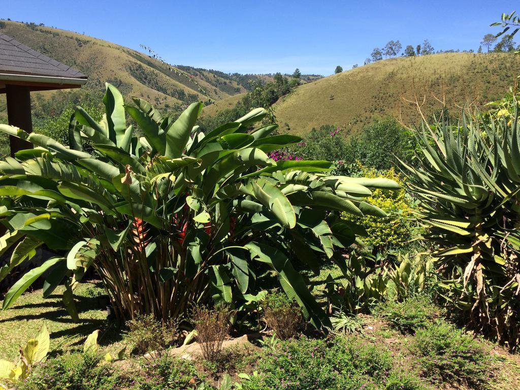 Mbarara 馁优热山畔旅馆酒店 外观 照片