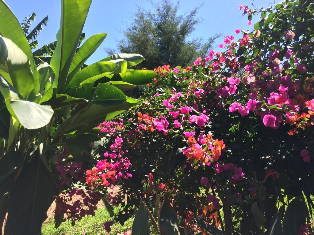 Mbarara 馁优热山畔旅馆酒店 外观 照片