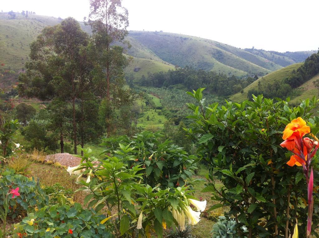 Mbarara 馁优热山畔旅馆酒店 外观 照片